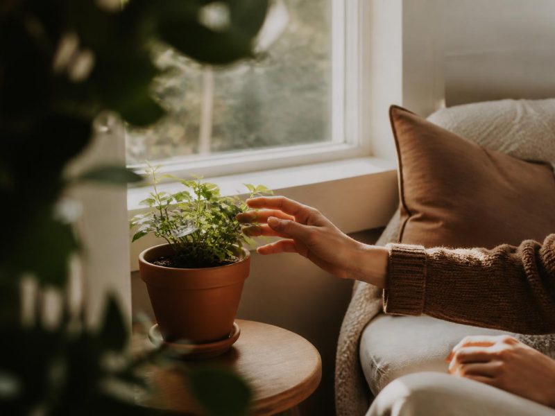 Effortless Garden Living: Practical Home Improvements for a Beautiful, Low-Muss Garden